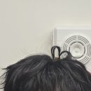 대덕물빛축제 뮤직페스티벌 이미지