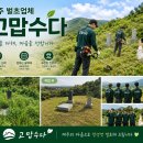 제주벌초