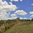 화이트벨리 이미지