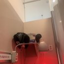 연세탑정형외과의원 이미지