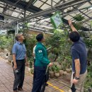 공판장유통 이미지