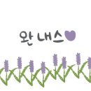 색실공작소 이미지