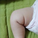참길팜 네이버블로그