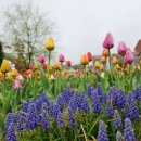 베툴라 자작나무숲 펜션 이미지