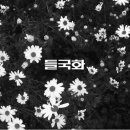 광고타운 네이버블로그