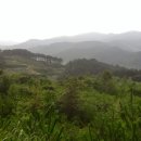 주천면 고촌마을 네이버블로그