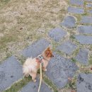 27200-나-26 이미지