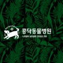 콩닥 동물병원 이미지
