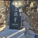 척추자세교정 걷기 테라피 이미지