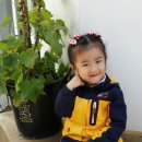 더부리공원 Daum카페