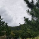 옥동목장 이미지