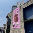 밀앤모이 팝업스토어 대구예스24 그립톡 지비츠 후기