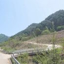 양구 공인중개사사무소 이미지