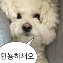 더노을 네이버블로그