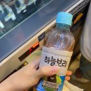 보리스크린골프