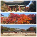 경희궁 돈까스 - 종로구 | 한옥 박물관 2회차 청강 후기, 경희궁, 서촌 돈가스 맛집(우리 집 생돈가스), 서촌 스콘 찐 맛집& 카페...