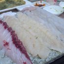 대진항 대게공원 | 강원도 고성 횟집 대진항 맛집 해동 횟집 자연산 회