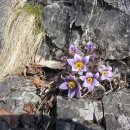 먼저골 민박 이미지