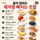 체지방 빠지는 조합 이미지