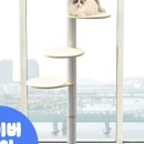 캣라운지 이미지