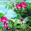 뎃생 수채화 이미지