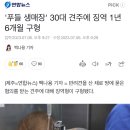 '푸들 생매장' 30대 견주에 징역 1년6개월 구형 이미지