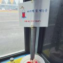 카바스 실내셀프세차장 | 보령수협 셀프세차장 방문후기 | 실내 셀프세차 완벽 가이드