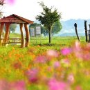 태릉입구역 3번출구 버스정류장 이미지