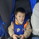 [열린어린이집][현장학습] 어푸어푸에 다녀왔어요 🐟🐢🦎🐠🪸 이미지