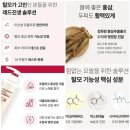 탈모왕 | 알지쓰리 레드진생 탈모라인 후기｜다이소 샴푸부터 스케일러, 클린왕면봉까지 직접 써본 탈모케어