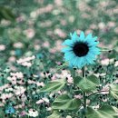 포토갤러리 이미지