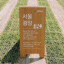 종로-현장-종로-세-276 이미지