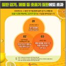 대학비타민약국 이미지