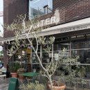 플렌터(Planter) 이미지