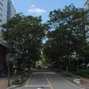 동성아파트경로당 이미지