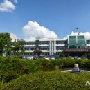 구룡교