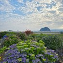 일승공인중개사사무소 이미지