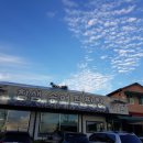 참샘송어 직판장 이미지