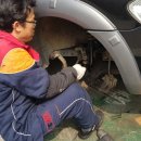 그린오토카 이미지