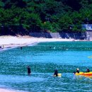 용화조개구이 네이버블로그