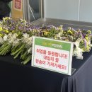 내일의꽃