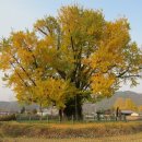 정위농장 | 영남알프스 둘레길 2구간(경동청구APT-김취려장군묘-구량리)