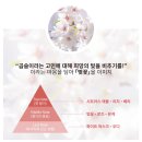 한나헤어클리닉