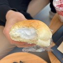 형제목장 | 강원도/태백 목장체험이 가능한 카페 - 몽토랑제빵소 내돈내산 후기