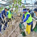 전남농협중앙회 이미지
