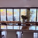 커피n빵 | 10년 만에 다시 찾은 ‘나무아래오후N’ 가평 감성 가득한 커피와 빵 맛집 BEST 후기