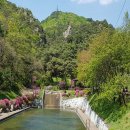 박달재자연휴양림 이미지