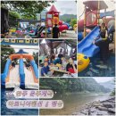 아로니아 | 대전근교 완주 운주계곡 아로니아 내돈내산 후기