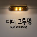 디디애견미용 이미지