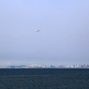몽여 Daum카페